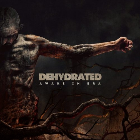 Dehydrated - Awake In Era (CD)