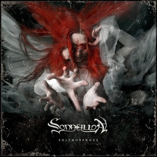 Sonneillon - Polymorphous (CD)