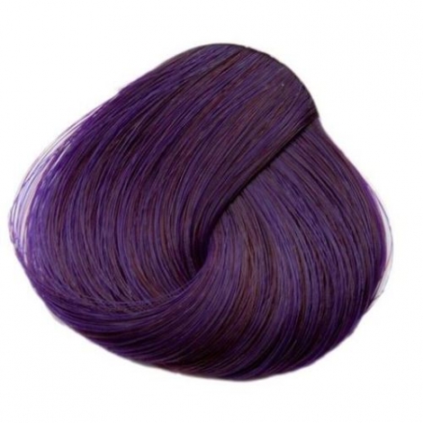 FIALOVÁ (Directions) - Plum